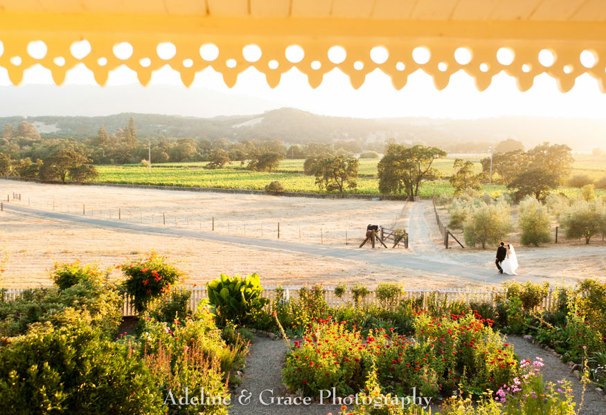  WINE  COUNTRY  ELOPEMENT PACKAGE  Sonoma Valley Vineyard