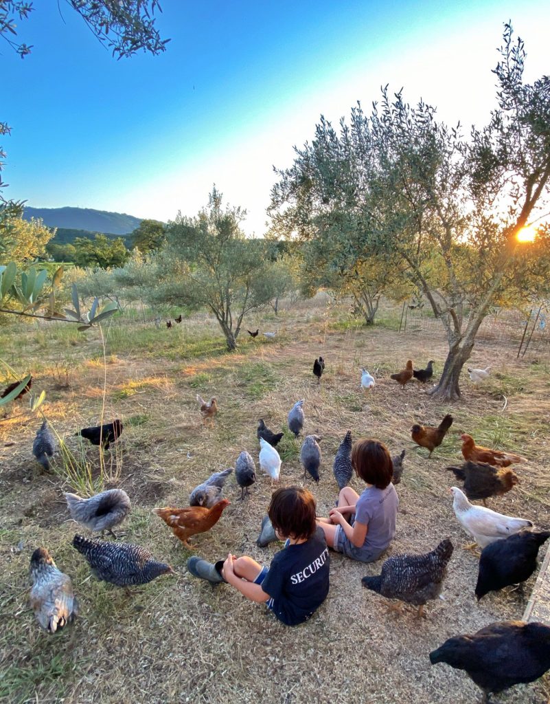 Beltane Ranch • Vineyard, Estate Wines, Gardens and Farm Stay Inn ...