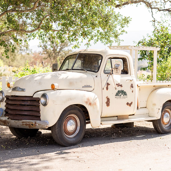 truck.LarissaClevelandPhoto_PT_elopement__0005